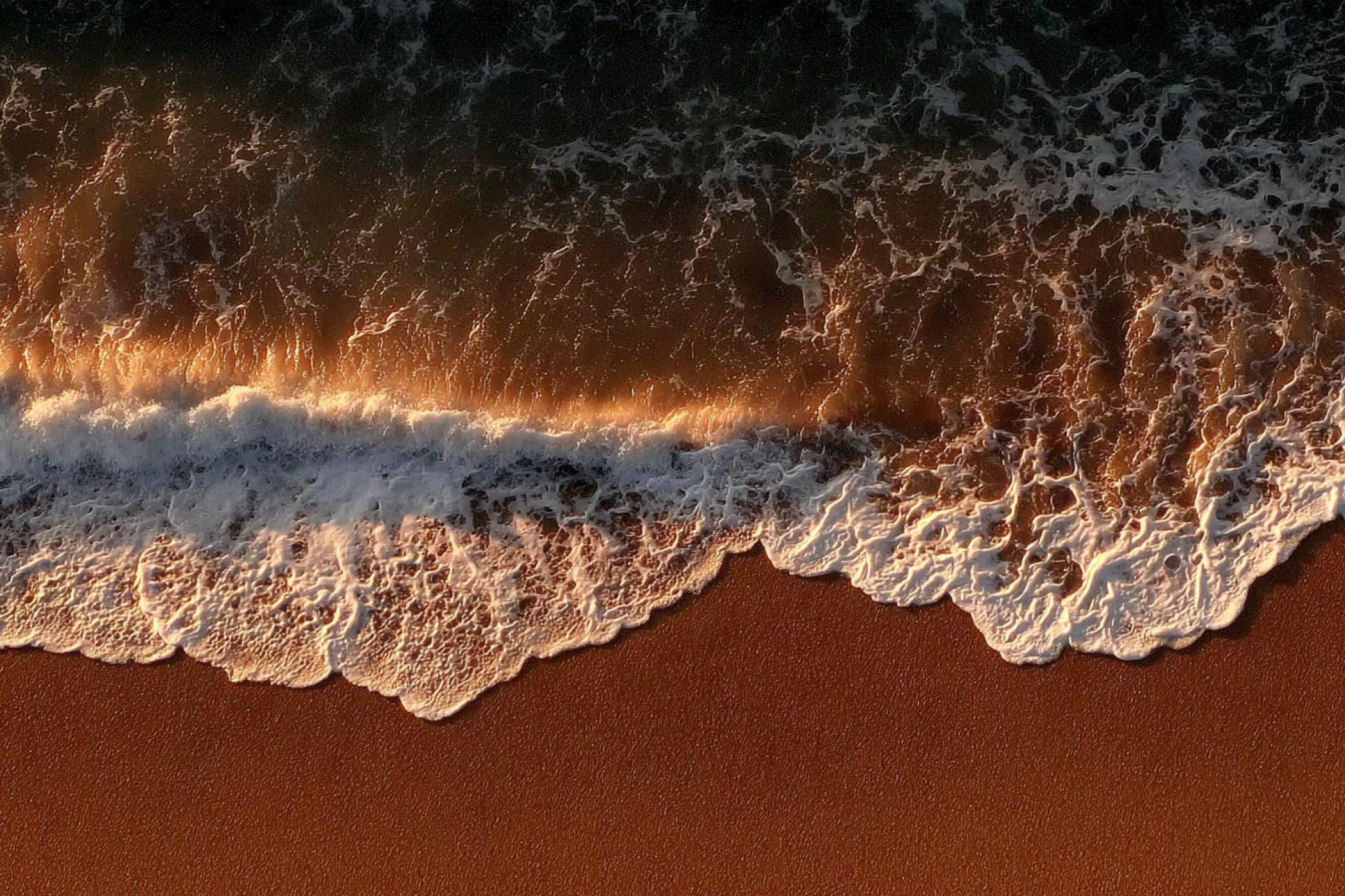 performastudio.xyz favicon